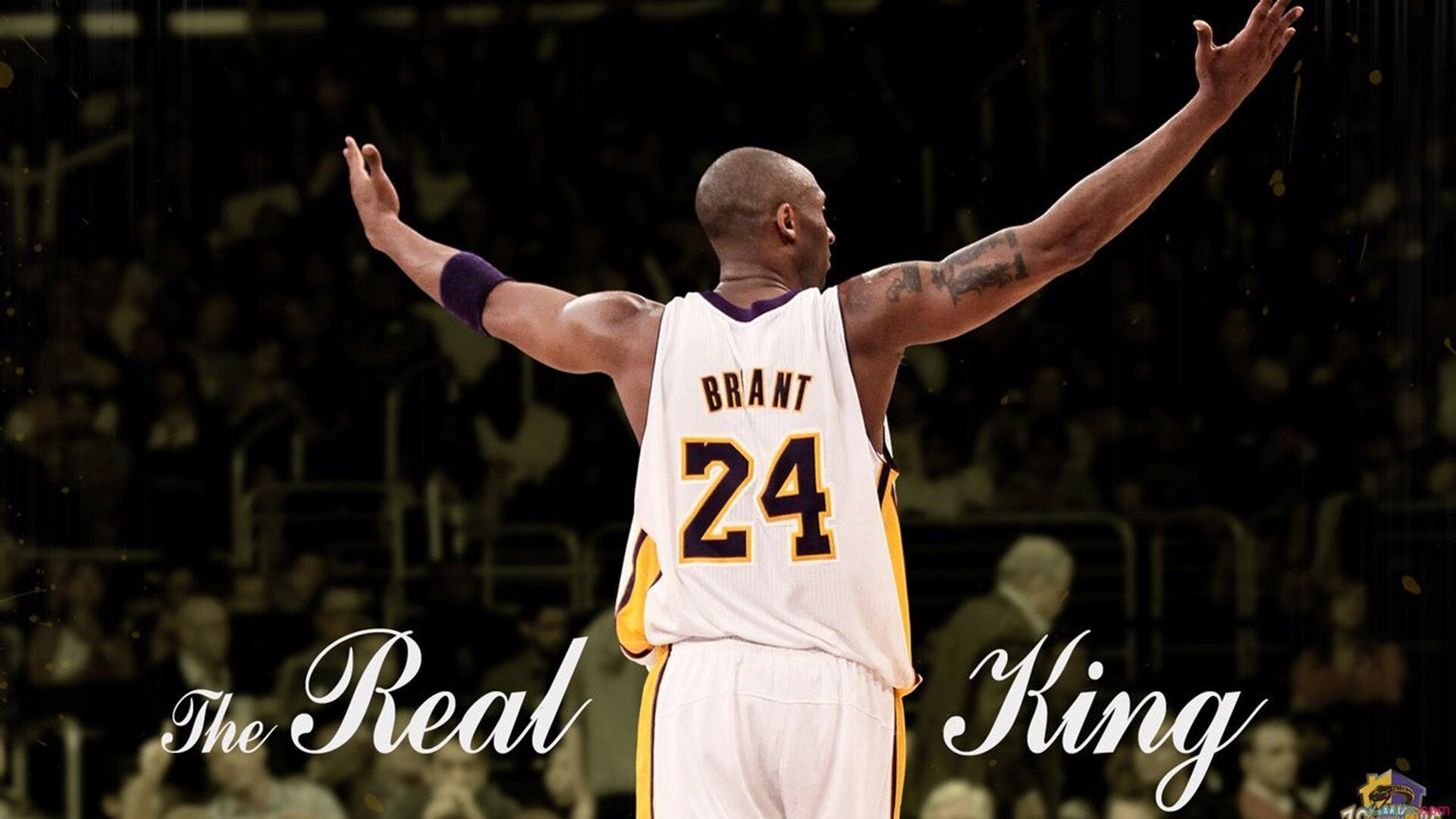 赛事领队：幕后策划的精彩故事，赛事策划人