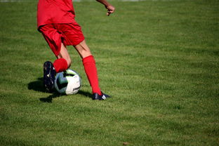 篮球运动员心理韧性培养及心理干预体系建设,篮球运动员心理素质的重要性